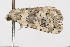  ( - UKLB12G03)  @13 [ ] CreativeCommons - Attribution (2009) Unspecified Centre for Biodiversity Genomics