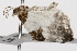 ( - UKLB12G04)  @12 [ ] CreativeCommons - Attribution (2009) Unspecified Centre for Biodiversity Genomics