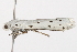  ( - UKLB12H01)  @11 [ ] CreativeCommons - Attribution (2009) Unspecified Centre for Biodiversity Genomics