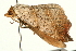  ( - UKLB13D06)  @14 [ ] CreativeCommons - Attribution (2009) Unspecified Centre for Biodiversity Genomics