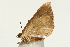  ( - UKLB13F11)  @12 [ ] CreativeCommons - Attribution (2009) Unspecified Centre for Biodiversity Genomics