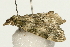  ( - UKLB13G03)  @11 [ ] CreativeCommons - Attribution (2009) Unspecified Centre for Biodiversity Genomics