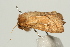  ( - UKLB14D08)  @11 [ ] CreativeCommons - Attribution (2009) Unspecified Centre for Biodiversity Genomics