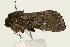  ( - UKLB14E03)  @13 [ ] CreativeCommons - Attribution (2009) Unspecified Centre for Biodiversity Genomics