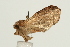  ( - UKLB14E10)  @11 [ ] CreativeCommons - Attribution (2009) Unspecified Centre for Biodiversity Genomics