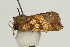 ( - UKLB14G09)  @11 [ ] CreativeCommons - Attribution (2009) Unspecified Centre for Biodiversity Genomics