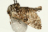  ( - UKLB14H01)  @13 [ ] CreativeCommons - Attribution (2009) Unspecified Centre for Biodiversity Genomics