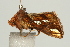  ( - UKLB14H03)  @12 [ ] CreativeCommons - Attribution (2009) Unspecified Centre for Biodiversity Genomics