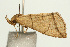  ( - UKLB14H10)  @11 [ ] CreativeCommons - Attribution (2009) Unspecified Centre for Biodiversity Genomics