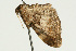  ( - UKLB17A05)  @14 [ ] CreativeCommons - Attribution (2009) Unspecified Centre for Biodiversity Genomics