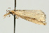  ( - UKLB17F01)  @12 [ ] CreativeCommons - Attribution (2009) Unspecified Centre for Biodiversity Genomics