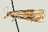  ( - UKLB17F04)  @12 [ ] CreativeCommons - Attribution (2009) Unspecified Centre for Biodiversity Genomics