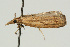  ( - UKLB17F11)  @12 [ ] CreativeCommons - Attribution (2009) Unspecified Centre for Biodiversity Genomics