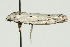  ( - UKLB17H07)  @11 [ ] CreativeCommons - Attribution (2009) Unspecified Centre for Biodiversity Genomics