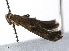  ( - UKLB16A01)  @12 [ ] CreativeCommons - Attribution (2009) Unspecified Centre for Biodiversity Genomics