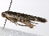  ( - UKLB16A09)  @12 [ ] CreativeCommons - Attribution (2009) Unspecified Centre for Biodiversity Genomics