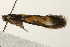  ( - UKLB16B05)  @12 [ ] CreativeCommons - Attribution (2009) Unspecified Centre for Biodiversity Genomics