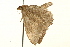 ( - UKLB16E06)  @13 [ ] CreativeCommons - Attribution (2009) Unspecified Centre for Biodiversity Genomics