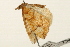  ( - UKLB16E12)  @12 [ ] CreativeCommons - Attribution (2009) Unspecified Centre for Biodiversity Genomics