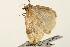  ( - UKLB16F01)  @12 [ ] CreativeCommons - Attribution (2009) Unspecified Centre for Biodiversity Genomics