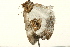  ( - UKLB16F04)  @12 [ ] CreativeCommons - Attribution (2009) Unspecified Centre for Biodiversity Genomics