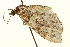  ( - UKLB16G03)  @12 [ ] CreativeCommons - Attribution (2009) Unspecified Centre for Biodiversity Genomics