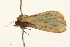  ( - UKLB15E09)  @11 [ ] CreativeCommons - Attribution (2009) Unspecified Centre for Biodiversity Genomics