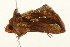  ( - UKLB15E10)  @12 [ ] CreativeCommons - Attribution (2009) Unspecified Centre for Biodiversity Genomics