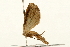  ( - UKLB15E12)  @12 [ ] CreativeCommons - Attribution (2009) Unspecified Centre for Biodiversity Genomics