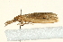  ( - UKLB15G08)  @11 [ ] CreativeCommons - Attribution (2009) Unspecified Centre for Biodiversity Genomics