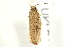  ( - UKLB15H01)  @13 [ ] CreativeCommons - Attribution (2009) Unspecified Centre for Biodiversity Genomics