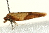  ( - UKLB15H12)  @12 [ ] CreativeCommons - Attribution (2009) Unspecified Centre for Biodiversity Genomics