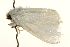  ( - UKLB18B07)  @13 [ ] CreativeCommons - Attribution (2009) Unspecified Centre for Biodiversity Genomics