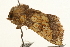  ( - UKLB18E08)  @11 [ ] CreativeCommons - Attribution (2009) Unspecified Centre for Biodiversity Genomics