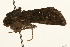  ( - UKLB18F04)  @13 [ ] CreativeCommons - Attribution (2009) Unspecified Centre for Biodiversity Genomics