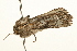  ( - UKLB18G01)  @13 [ ] CreativeCommons - Attribution (2009) Unspecified Centre for Biodiversity Genomics