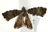  ( - UKLB18H05)  @12 [ ] CreativeCommons - Attribution (2009) Unspecified Centre for Biodiversity Genomics