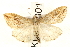  ( - UKLB19B01)  @14 [ ] CreativeCommons - Attribution (2009) Unspecified Centre for Biodiversity Genomics