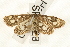  ( - UKLB19H12)  @13 [ ] CreativeCommons - Attribution (2009) Unspecified Centre for Biodiversity Genomics
