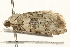  ( - UKLB22B08)  @13 [ ] CreativeCommons - Attribution (2009) Unspecified Centre for Biodiversity Genomics