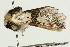  ( - UKLB13B10)  @12 [ ] CreativeCommons - Attribution (2010) Unspecified Centre for Biodiversity Genomics