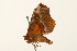  ( - UKLB16E01)  @12 [ ] CreativeCommons - Attribution (2010) Unspecified Centre for Biodiversity Genomics