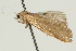  ( - UKLB17D03)  @12 [ ] CreativeCommons - Attribution (2010) Unspecified Centre for Biodiversity Genomics