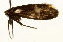  ( - UKLB32C06)  @12 [ ] CreativeCommons - Attribution (2009) Unspecified Centre for Biodiversity Genomics