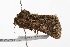  ( - UKLB23D08)  @11 [ ] CreativeCommons - Attribution (2009) Unspecified Centre for Biodiversity Genomics