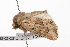  ( - UKLB23D09)  @11 [ ] CreativeCommons - Attribution (2009) Unspecified Centre for Biodiversity Genomics