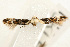  ( - UKLB26A07)  @12 [ ] CreativeCommons - Attribution (2009) Unspecified Centre for Biodiversity Genomics