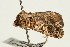  ( - UKLB26G01)  @13 [ ] CreativeCommons - Attribution (2009) Unspecified Centre for Biodiversity Genomics
