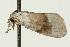  ( - UKLB26G07)  @12 [ ] CreativeCommons - Attribution (2009) Unspecified Centre for Biodiversity Genomics
