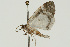  ( - UKLB26H05)  @12 [ ] CreativeCommons - Attribution (2009) Unspecified Centre for Biodiversity Genomics